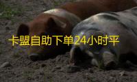 卡盟自助下单24小时平台电话