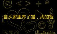 自从家里养了猫，我的智商是越来越不够用，每天找猫猫让我头秃